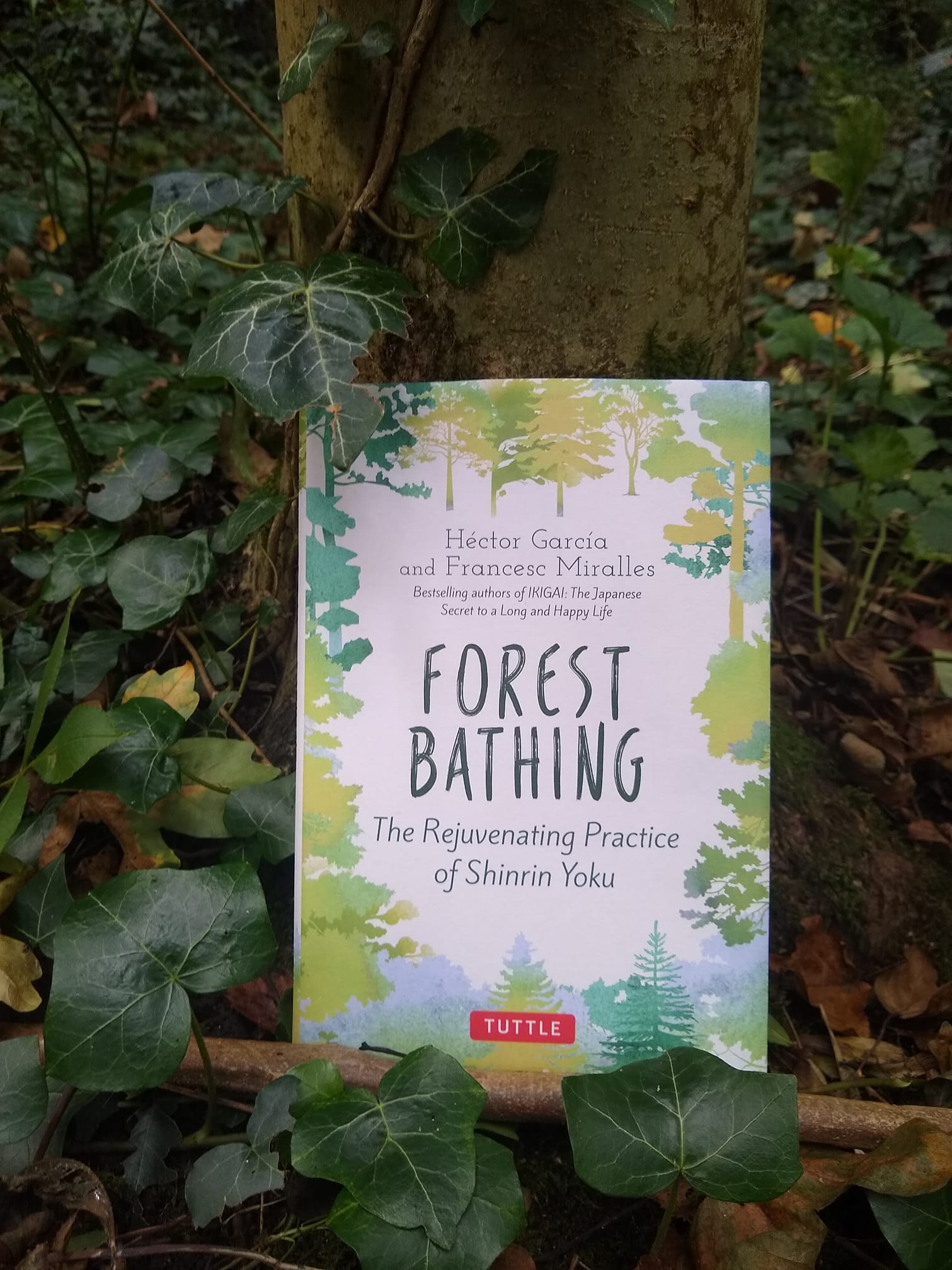Forest Bathing book.
